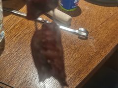 -臻炙大舍烤串(天龙家园店)