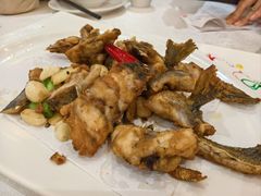 -有腥气私房菜·寻味顺德