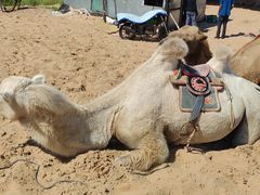 -库伦旗银沙湾旅游景区