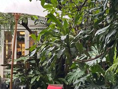 -Fern Forest Cafe