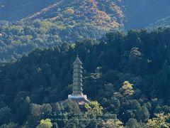 -香山公园