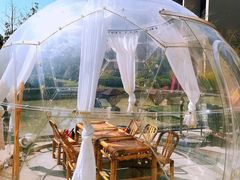 -上海崇明金茂凯悦酒店