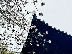 -寒山寺