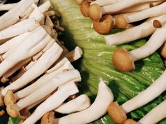 -椰子营·椰子鸡火锅(万象里店)
