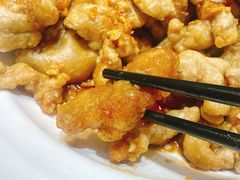 红油里脊-方城小吃店