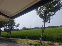 -嘉北郊野公园