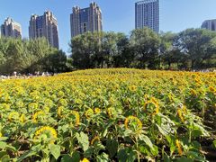 -长白岛森林公园