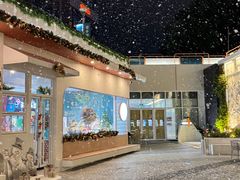 -紫荆广场·花漫里