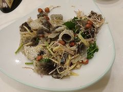 -寻味顺德·南记酒家·传统顺德菜·鱼生(广源路店)