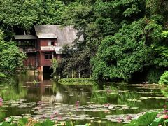 -野象谷景区