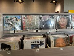 -浣熊唱片店(上海影城店)