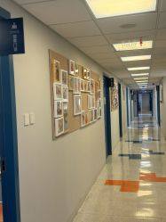 -杭州贝瑞斯美华妇儿医院·早孕·产检·儿科