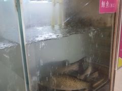 门面-天香石锅鱼(永兴路店)