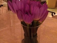 -广州富力丽思卡尔顿酒店