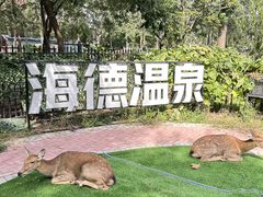 -海德温泉生活馆(朝阳大悦城店)