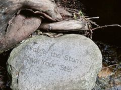 -牛背梁国家森林公园