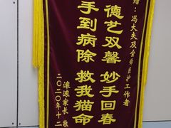 -中农国际动物医院24小时·猫科·骨科·急重症中心