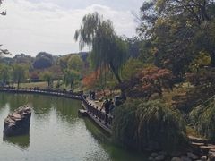 -虞山风景区