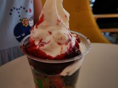 -Salud撒露欧洲冻酸奶(798艺术区店)