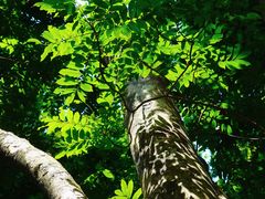 -华南国家植物园-售票处