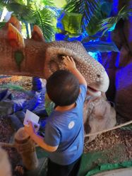 -恐龙探索乐园(磁器口店)