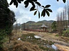-广州市石门国家森林公园