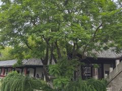 -龙潭水乡