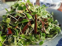 -百花人家(清水田园店)