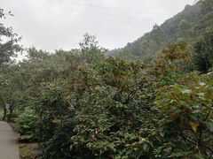 -太和古洞