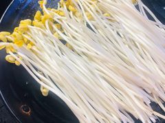 重庆井水豆芽-锅说大脸毛肚重庆老火锅(佐阾店)