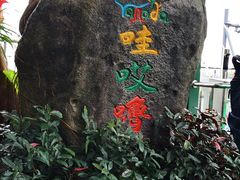 -呀诺达热带雨林