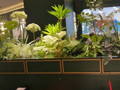 -CoCo都可(虹口龙之梦店)