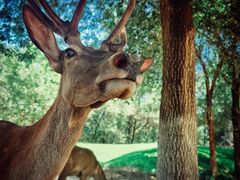 -北京野生动物园