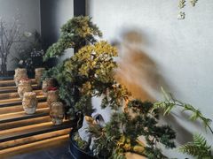 -蘇锦宴·淮扬菜烤鸭·小院(三元桥霄云路店)
