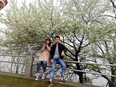 -艾溪湖湿地公园