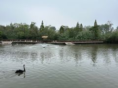 -溱湖国家湿地公园