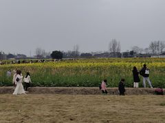 -中国天府农业博览园