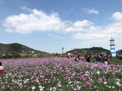 -梦缘水乡·湖景餐厅