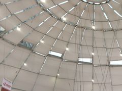 -万达广场(泰安泰山店)