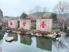 -香雪海