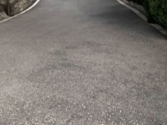 -云龙山