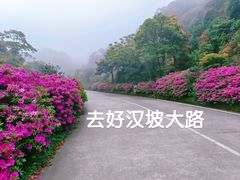 -梧桐山风景名胜区