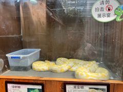 -上海大自然野生昆虫馆(东方明珠·爬宠昆虫探索中心)