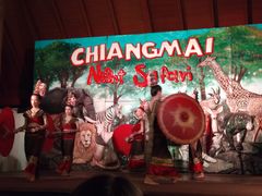 -清迈夜间动物园