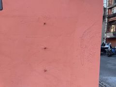 -三里屯东五街银杏大道