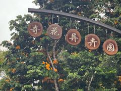 -中国科学院西双版纳热带植物园