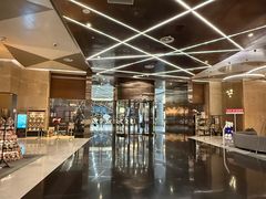 -南京禄口机场雅高铂尔曼大酒店