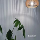 🇨🇦温哥华·列治文专吃椰子冻的神仙小店Milko