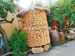 -老村长农家院