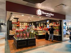 -Bengawan Solo(Changi Airport Terminal 2)